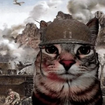 goonercat.webp